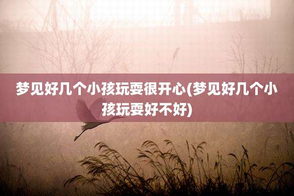梦见好几个小孩玩耍很开心(梦见好几个小孩玩耍好不好)