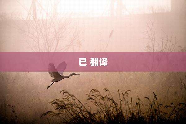 已 翻译