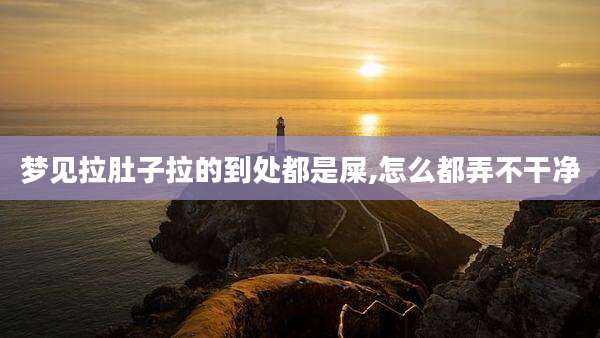 梦见拉肚子拉的到处都是屎,怎么都弄不干净