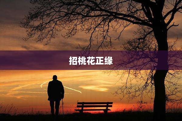 招桃花正缘