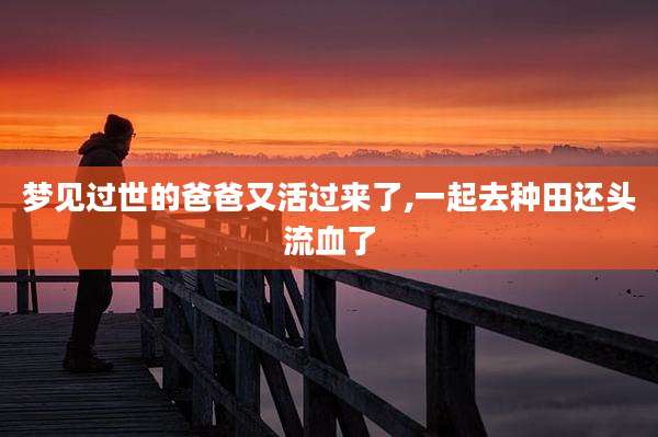 梦见过世的爸爸又活过来了,一起去种田还头流血了