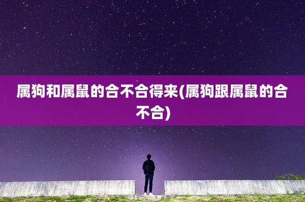 属狗和属鼠的合不合得来(属狗跟属鼠的合不合)