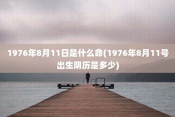 1976年8月11日是什么命(1976年8月11号出生阴历是多少)