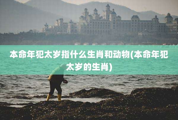本命年犯太岁指什么生肖和动物(本命年犯太岁的生肖)
