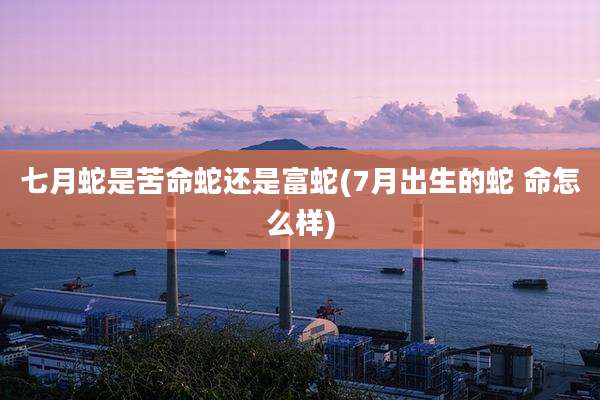 七月蛇是苦命蛇还是富蛇(7月出生的蛇 命怎么样)