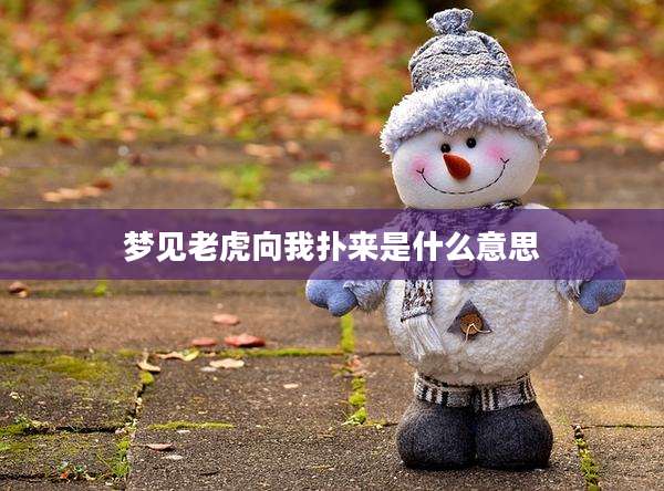 梦见老虎向我扑来是什么意思