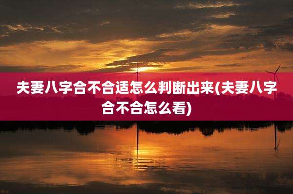 夫妻八字合不合适怎么判断出来(夫妻八字合不合怎么看)