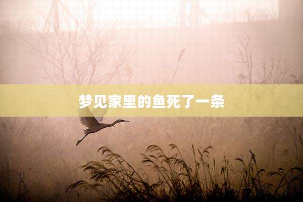 梦见家里的鱼死了一条