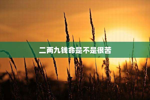 二两九钱命是不是很苦