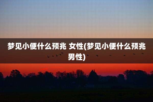 梦见小便什么预兆 女性(梦见小便什么预兆男性)