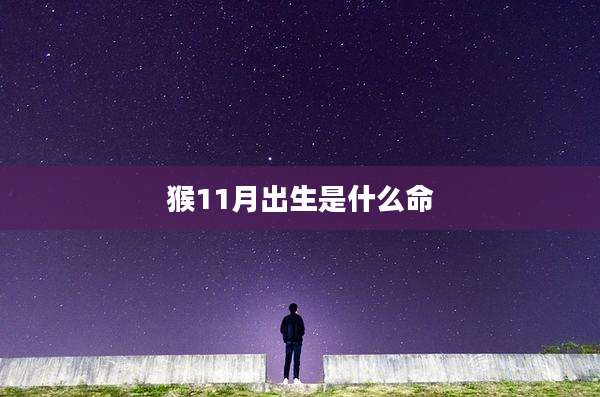 猴11月出生是什么命