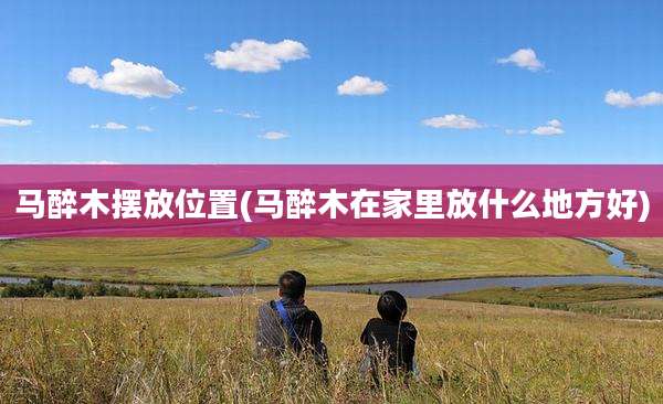 马醉木摆放位置(马醉木在家里放什么地方好)