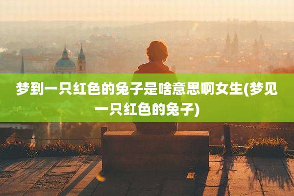 梦到一只红色的兔子是啥意思啊女生(梦见一只红色的兔子)