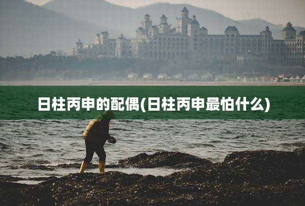 日柱丙申的配偶(日柱丙申最怕什么)