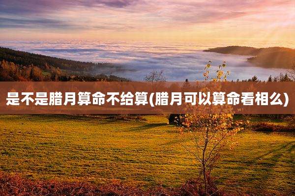 是不是腊月算命不给算(腊月可以算命看相么)