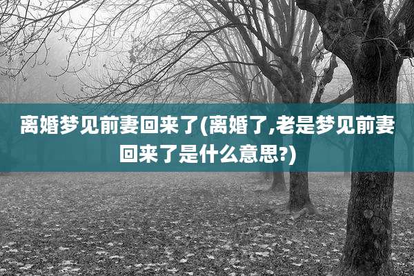 离婚梦见前妻回来了(离婚了,老是梦见前妻回来了是什么意思?)