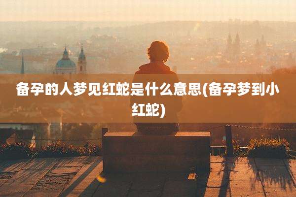 备孕的人梦见红蛇是什么意思(备孕梦到小红蛇)