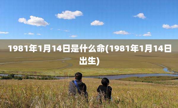1981年1月14日是什么命(1981年1月14日出生)