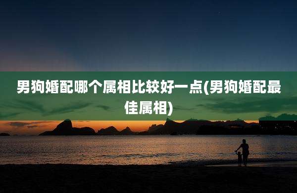 男狗婚配哪个属相比较好一点(男狗婚配最佳属相)