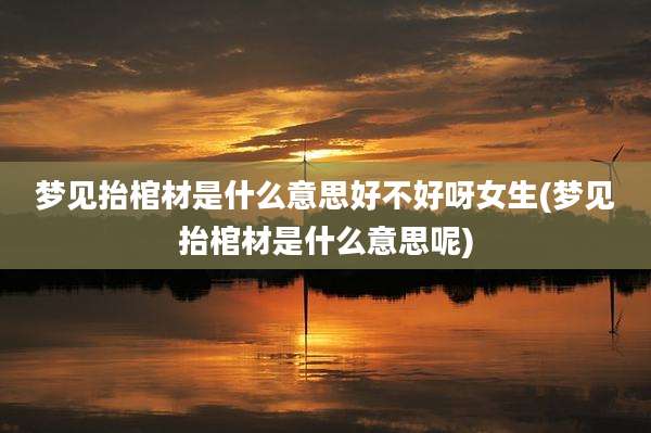梦见抬棺材是什么意思好不好呀女生(梦见抬棺材是什么意思呢)