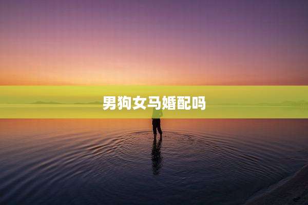 男狗女马婚配吗