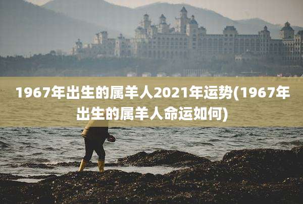 1967年出生的属羊人2021年运势(1967年出生的属羊人命运如何)