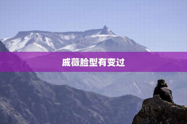 戚薇脸型有变过