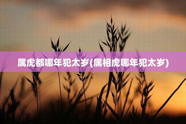 属虎都哪年犯太岁(属相虎哪年犯太岁)