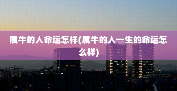 属牛的人命运怎样(属牛的人一生的命运怎么样)