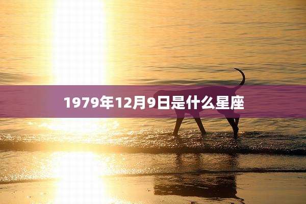1979年12月9日是什么星座
