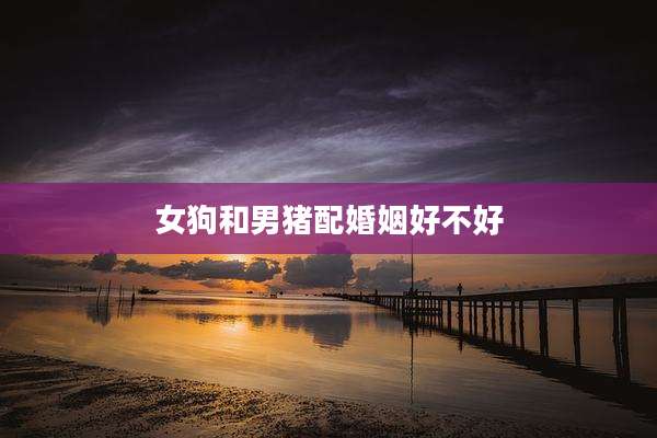 女狗和男猪配婚姻好不好
