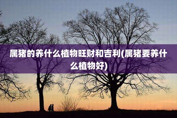 属猪的养什么植物旺财和吉利(属猪要养什么植物好)