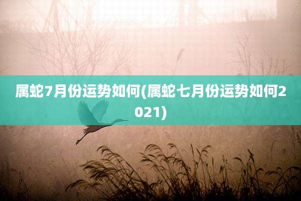 属蛇7月份运势如何(属蛇七月份运势如何2021)