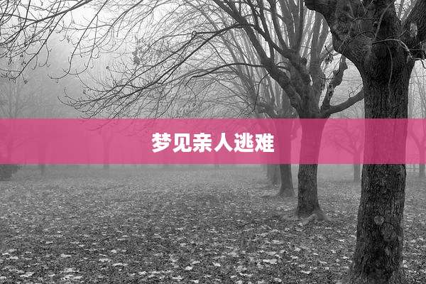 梦见亲人逃难