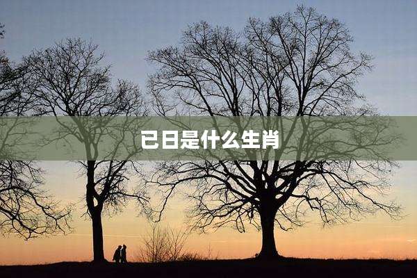已日是什么生肖
