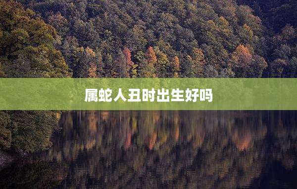 属蛇人丑时出生好吗
