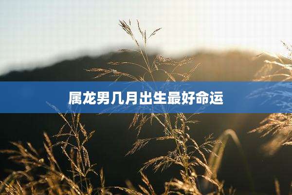 属龙男几月出生最好命运