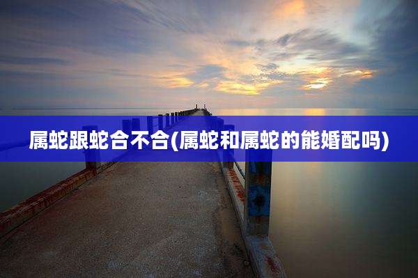 属蛇跟蛇合不合(属蛇和属蛇的能婚配吗)