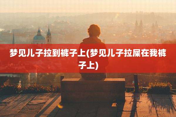 梦见儿子拉到裤子上(梦见儿子拉屎在我裤子上)