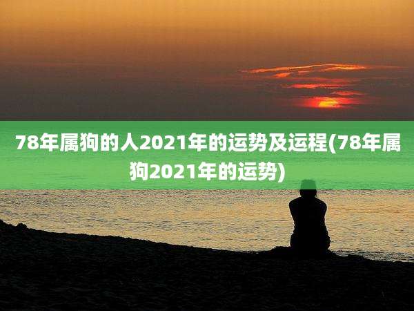 78年属狗的人2021年的运势及运程(78年属狗2021年的运势)