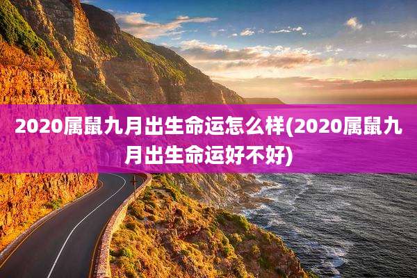 2020属鼠九月出生命运怎么样(2020属鼠九月出生命运好不好)