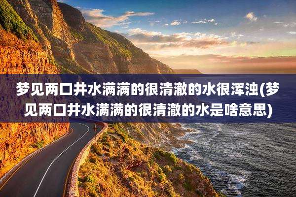 梦见两口井水满满的很清澈的水很浑浊(梦见两口井水满满的很清澈的水是啥意思)