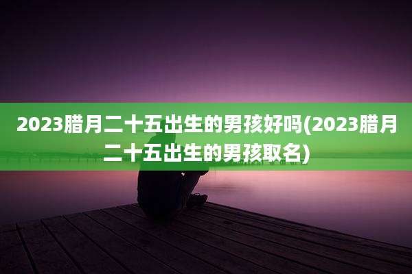 2023腊月二十五出生的男孩好吗(2023腊月二十五出生的男孩取名)