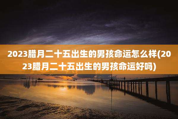 2023腊月二十五出生的男孩命运怎么样(2023腊月二十五出生的男孩命运好吗)