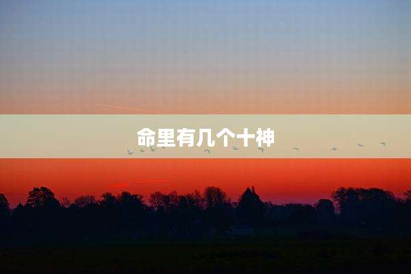 命里有几个十神
