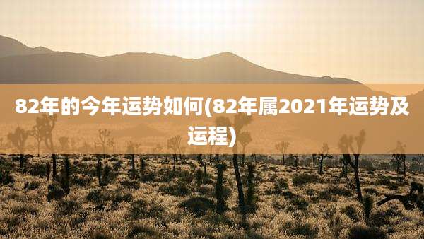 82年的今年运势如何(82年属2021年运势及运程)