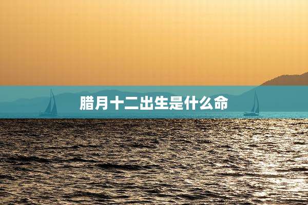 腊月十二出生是什么命
