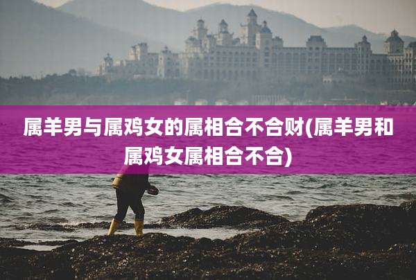 属羊男与属鸡女的属相合不合财(属羊男和属鸡女属相合不合)