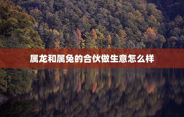 属龙和属兔的合伙做生意怎么样