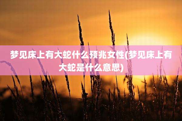 梦见床上有大蛇什么预兆女性(梦见床上有大蛇是什么意思)
